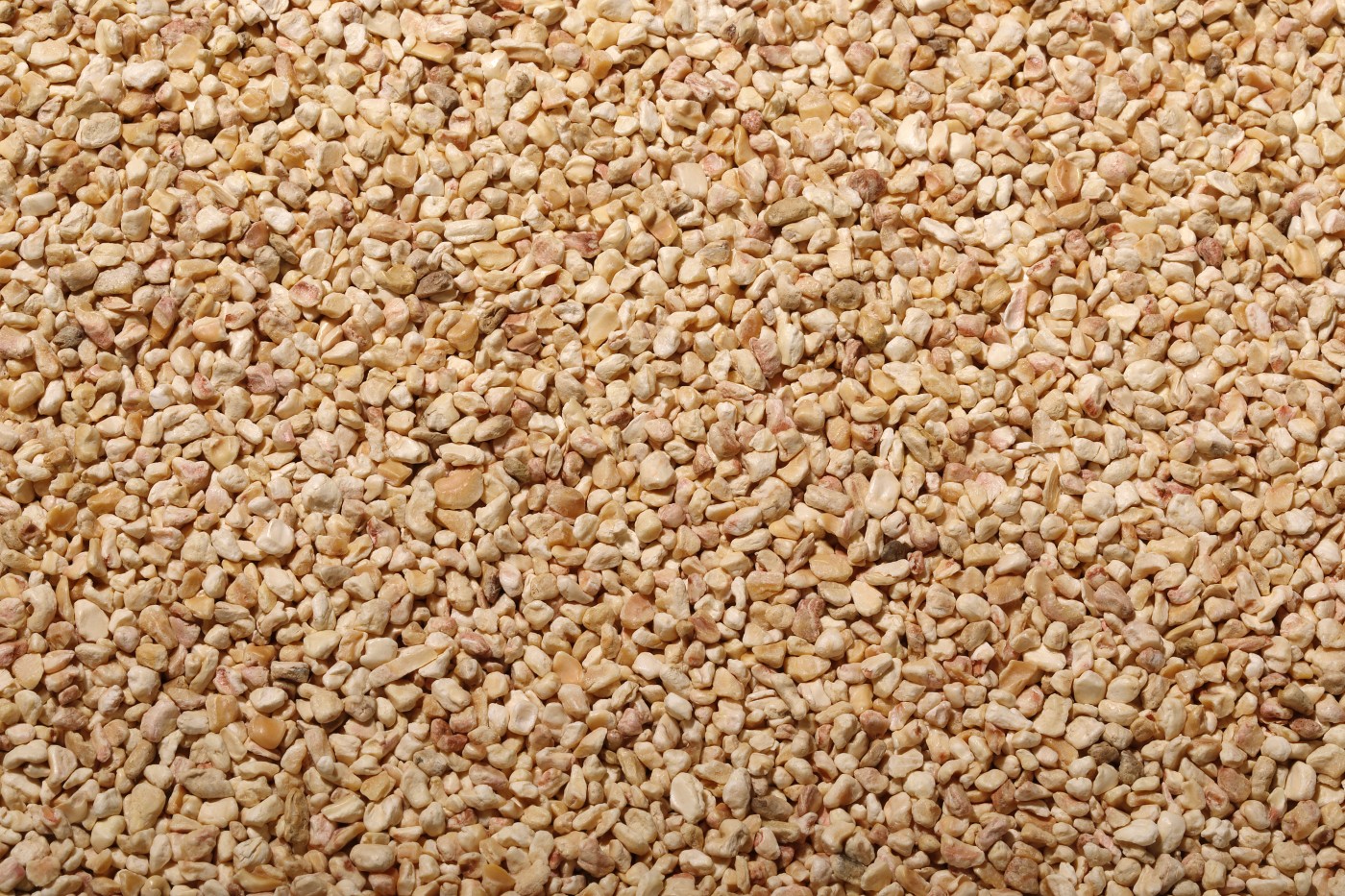  Bartscher Granul&eacute;s de ma&iuml;s 3KG 