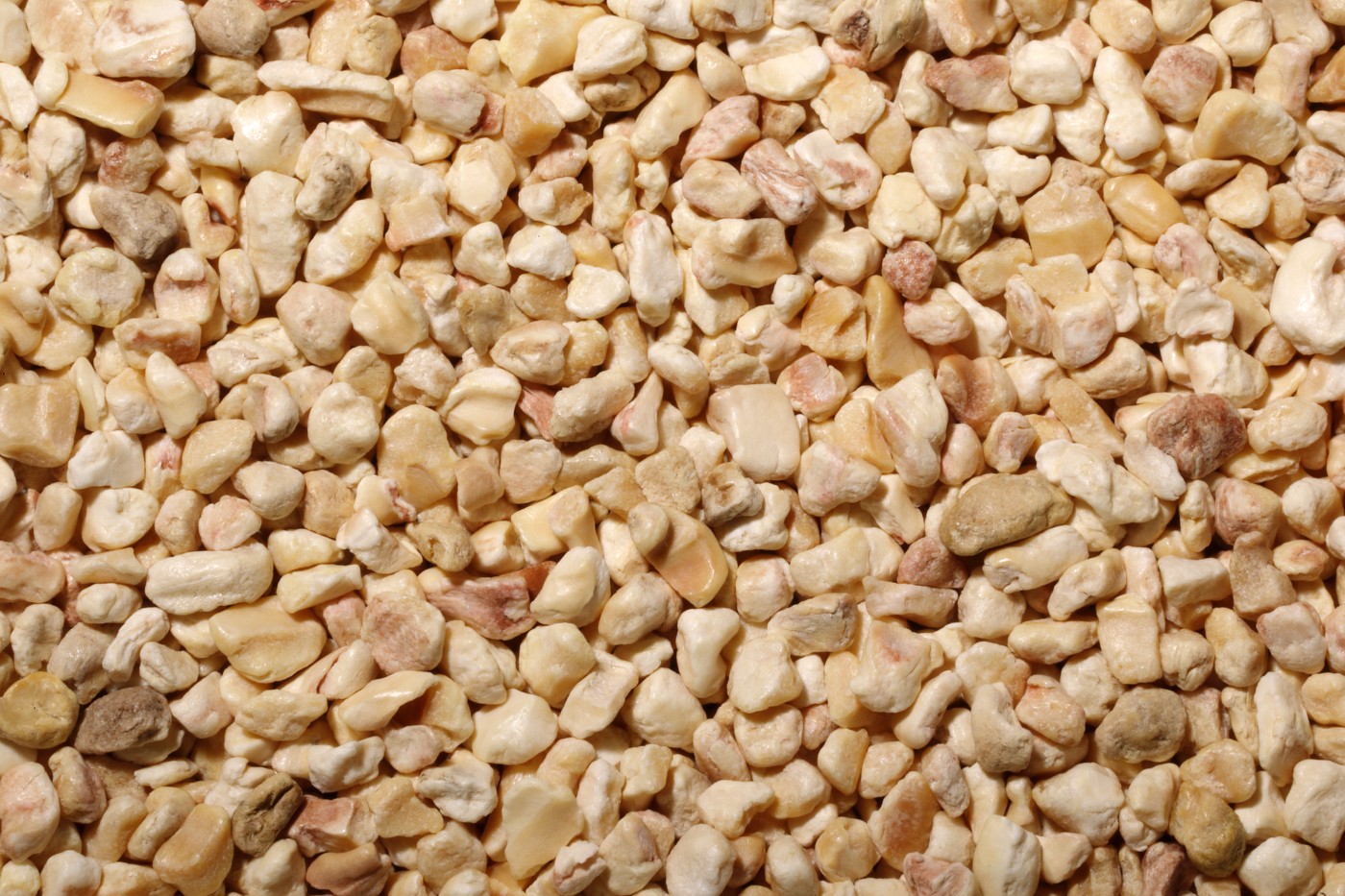  Bartscher Granul&eacute;s de ma&iuml;s 3KG 