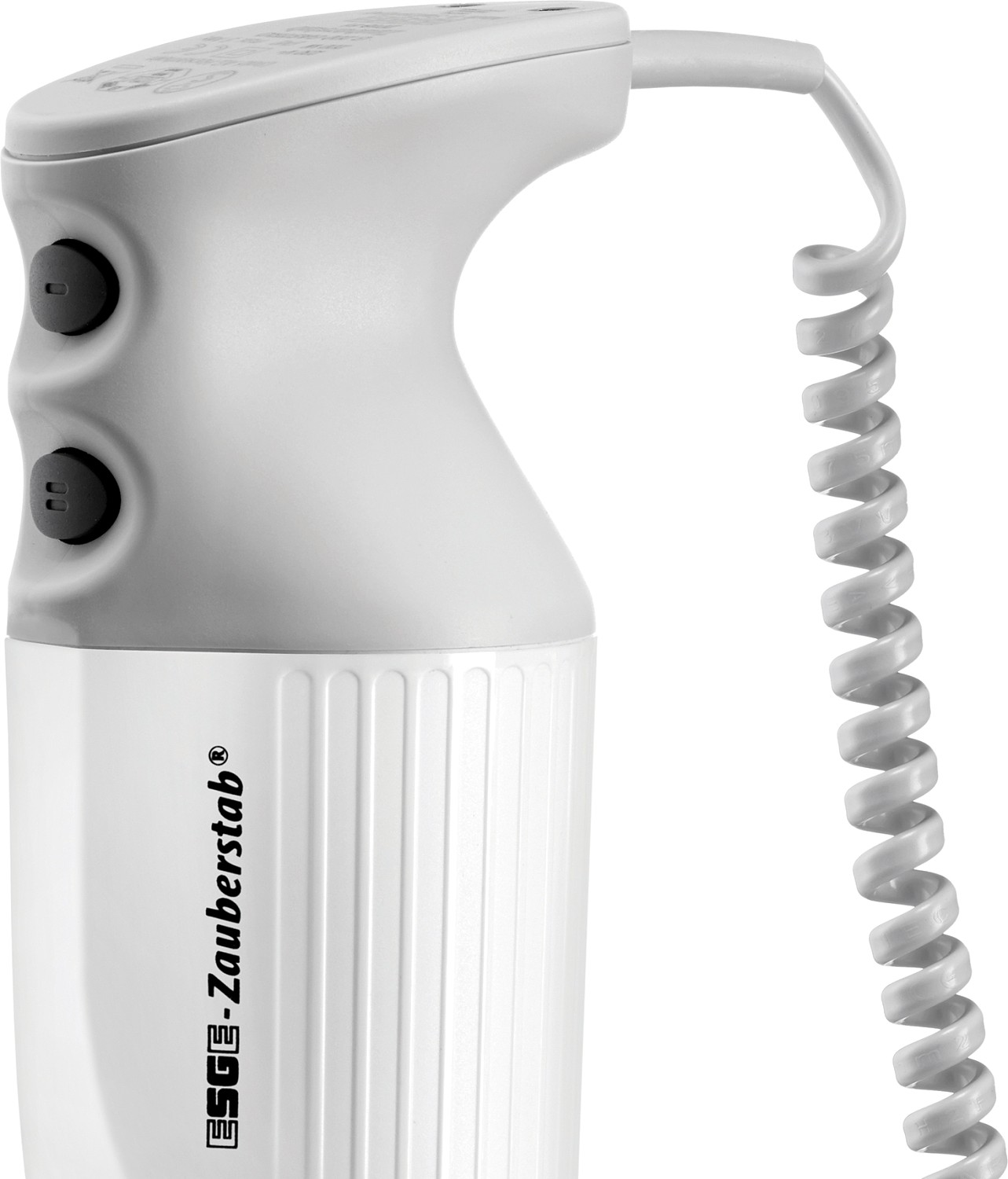  ESGE Mixeur plongeant P 200 Profi 