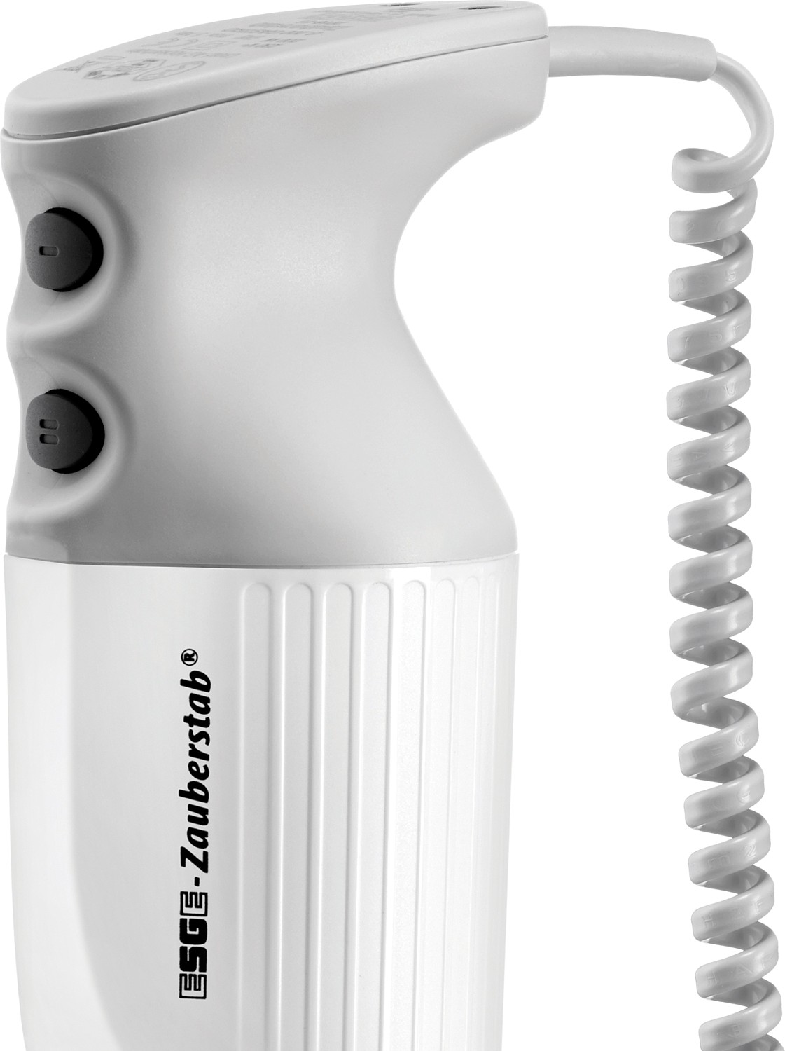  ESGE Mixeur plongeant P 350 Profi 
