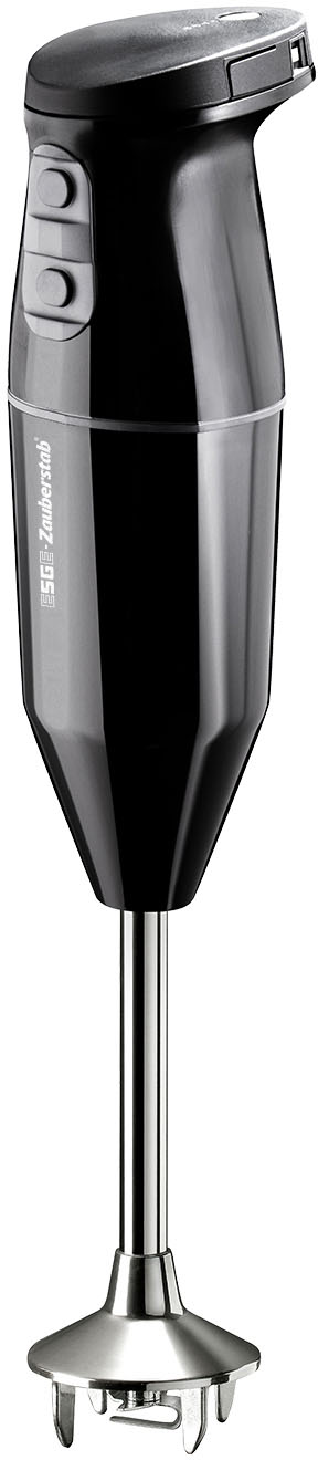  ESGE Mixeur plongeant Cordless Plus noir 