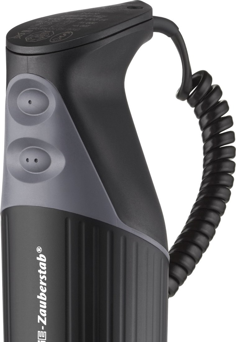  ESGE Mixeur plongeant M 200 BBQ 