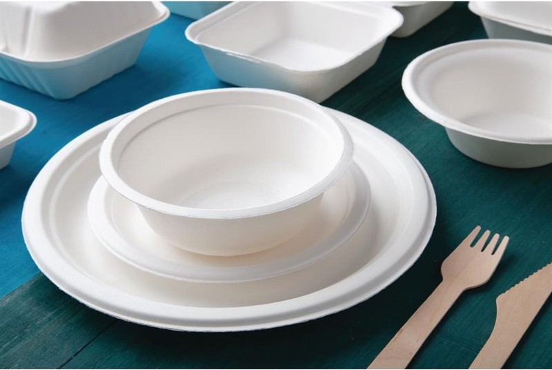  Fiesta Assiettes en bagasse compostables Green 26 cm (x50) 