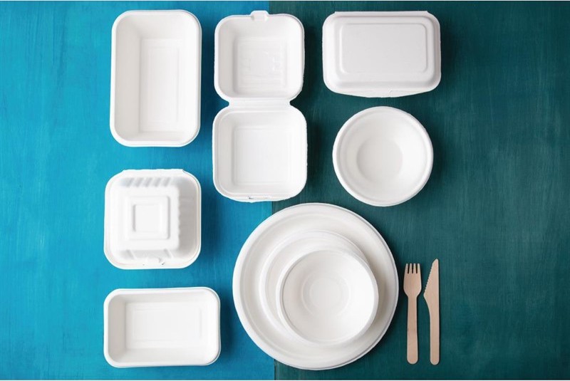  Fiesta Assiettes en bagasse compostables Green 26 cm (x50) 