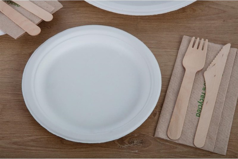  Fiesta Assiettes en bagasse compostables Green 17,9 cm (x50) 