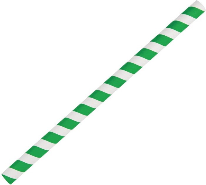  Fiesta Pailles à smoothie en papier Green vertes 21 cm 
