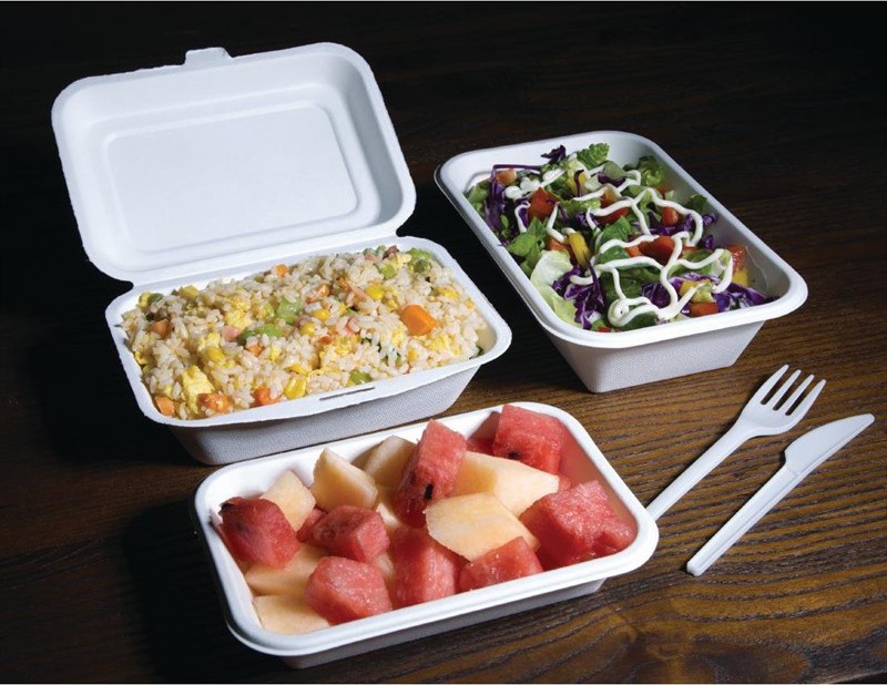  Fiesta Barquettes &agrave; charni&egrave;re en bagasse compostables Green 18,2 cm (x250) 