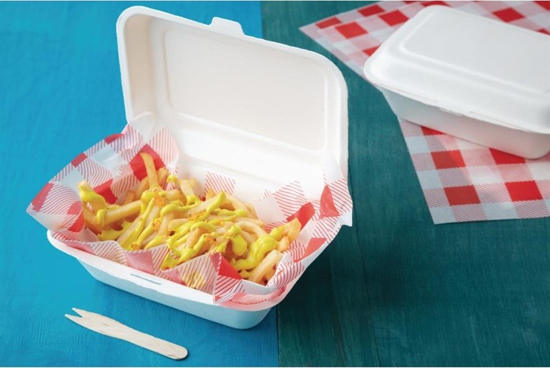  Fiesta Barquettes &agrave; charni&egrave;re en bagasse compostables Green 18,2 cm (x250) 