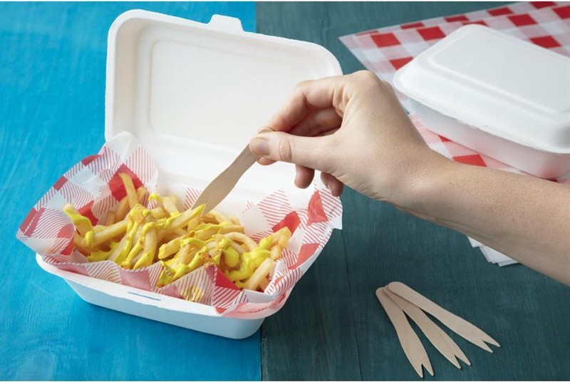  Fiesta Barquettes &agrave; charni&egrave;re en bagasse compostables Green 18,2 cm (x250) 