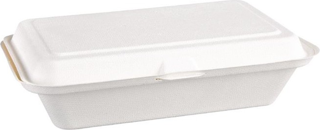  Fiesta Barquettes &agrave; charni&egrave;re en bagasse compostables Green 24,8 cm (x250) 