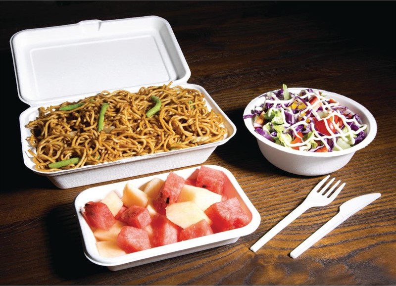  Fiesta Barquettes &agrave; charni&egrave;re en bagasse compostables Green 24,8 cm (x250) 
