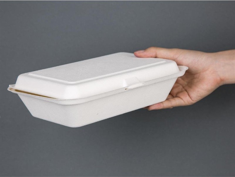  Fiesta Barquettes &agrave; charni&egrave;re en bagasse compostables Green 24,8 cm (x250) 