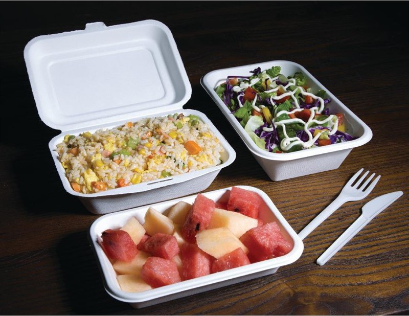  Fiesta Barquettes en bagasse compostables Green 18 cm (x50) 