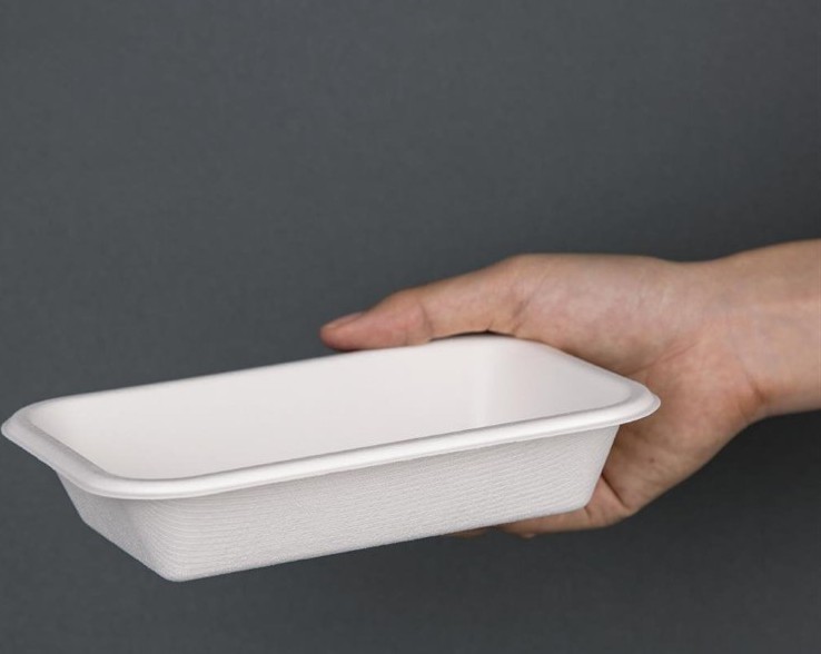  Fiesta Barquettes en bagasse compostables Green 18 cm (x50) 