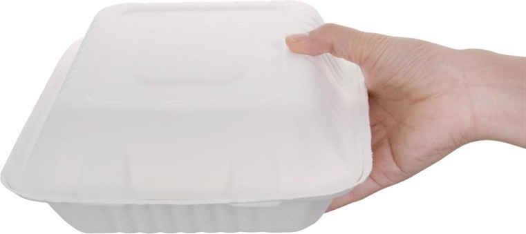  Fiesta Bo&icirc;tes avec couvercle &agrave; charni&egrave;re compostables en bagasse Green 223mm (lot de 200) 