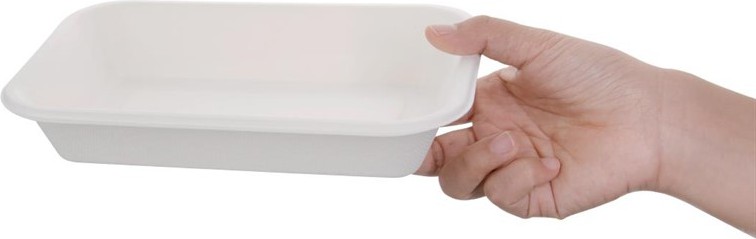  Fiesta Barquettes compostables en bagasse Green 680ml (lot de 50) 