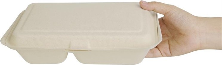  Fiesta Bo&icirc;tes 2 compartiments avec couvercle &agrave; charni&egrave;re compostables en bagasse coloris naturel Green 253mm (lot de 200) 