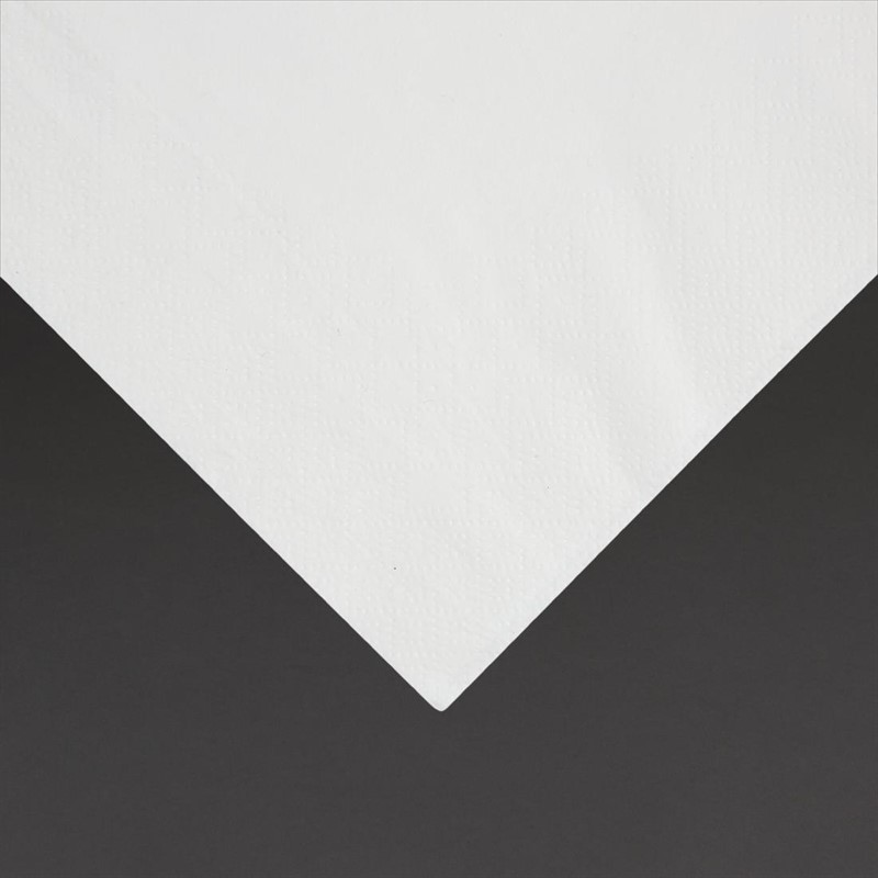  Fiesta Serviettes snacking 2 plis pliage 1/4 330mm blanches (lot de 2000) 