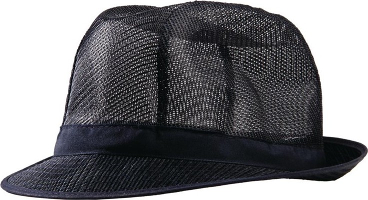  Gastronoble Chapeau Trilby bleu marine avec r&eacute;sille 