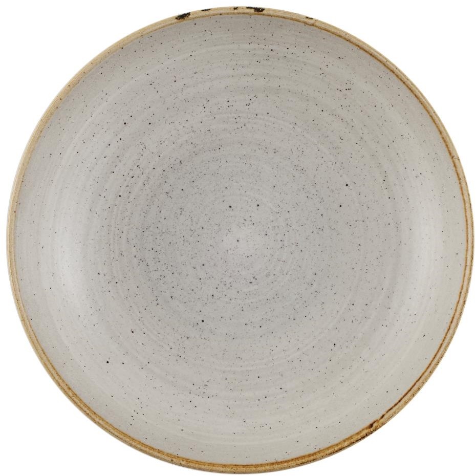  Churchill Assiettes coupes rondes Stonecast Raw Evolve Grey 248mm (Lot de 12) 