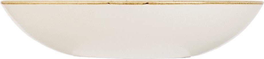  Churchill Assiettes coupes rondes bleues Stonecast 184 mm (lot de 12) 