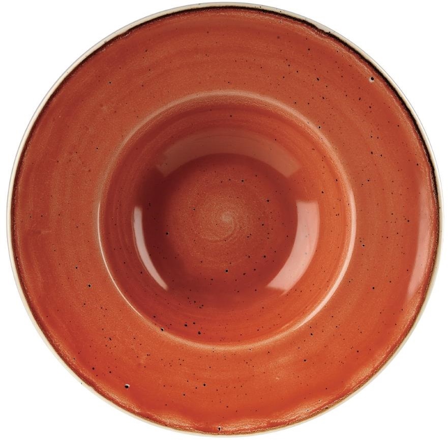  Churchill Bols &agrave; bord large Stonecast Spiced Orange 239mm (Lot de 12) 