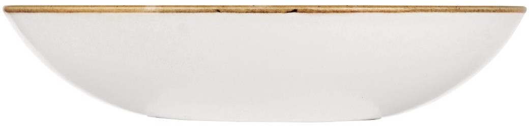  Churchill Assiettes coupes rondes Stonecast Duck Egg Blue 220mm (Lot de 12) 