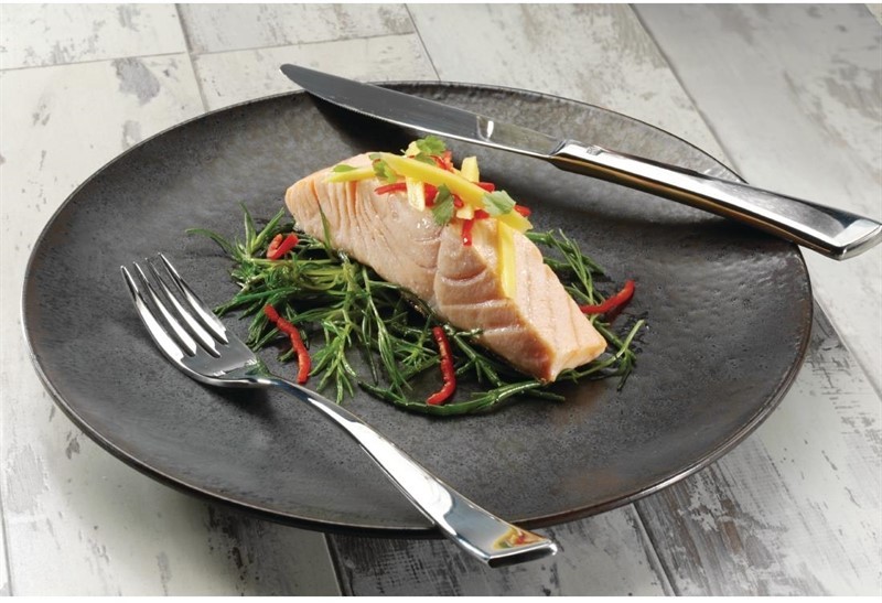  Olympia Assiettes plates rondes Fusion 270mm 