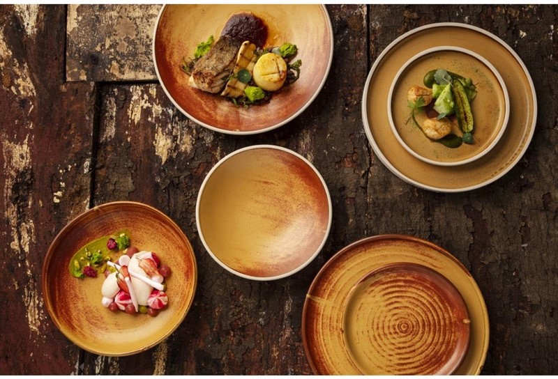  Olympia Assiettes plates terre de sienne Canvas 26,5 cm 
