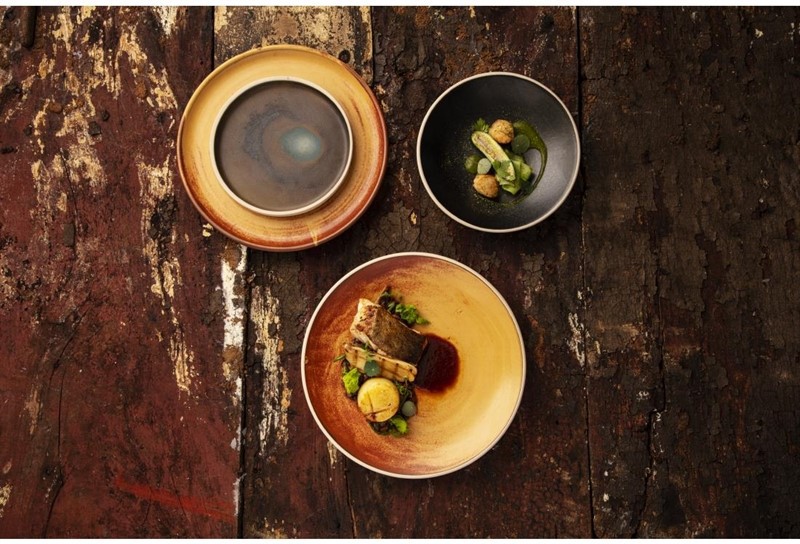  Olympia Assiettes plates terre de sienne Canvas 26,5 cm 
